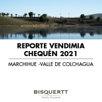 Reporte Vendimia 2021